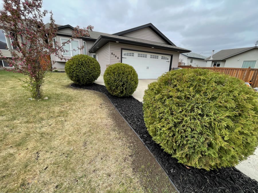 Apollo Property Maintenance project 11