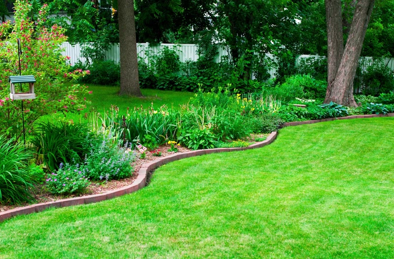 Landscape Construction